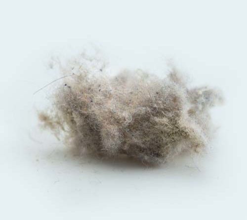 Staub – der Feind aller Elektronik