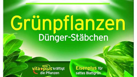 Substral Dünger-Stäbchen für Grünpflanzen