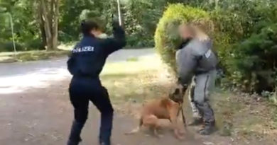 “Druff jetzt auf das Vieh!” â€“ Kritik an brutalem Polizeihundetraining ebbt nicht ab â€” RT DE