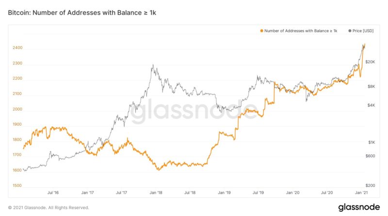 Bitcoin-Wale so optimistisch wie noch nie – Steht der Rekordlauf erst am Anfang?