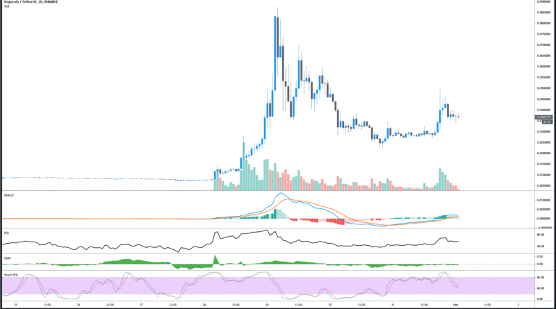 Wall Street Bets lassen DOGE noch nicht fallen