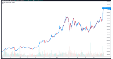 Altcoins steigen und Bitcoin bereitet sich auf 50.000 US-Dollar vor