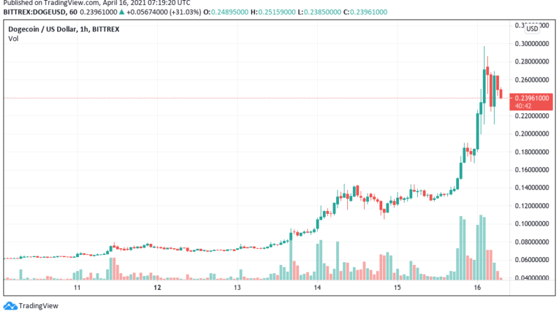 Braves Hündchen! – Dogecoin verdoppelt sich auf neues Rekordhoch
