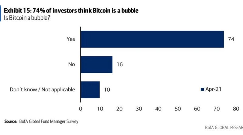 74 Prozent aller professionellen Investoren sehen Bitcoin als Spekulationsblase