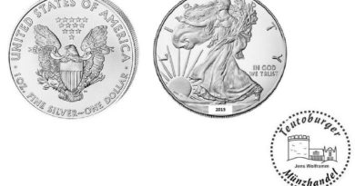 USA  American Eagle 2015  Anlage Münze 1 oz – Unze  999 Silber * St / BU *