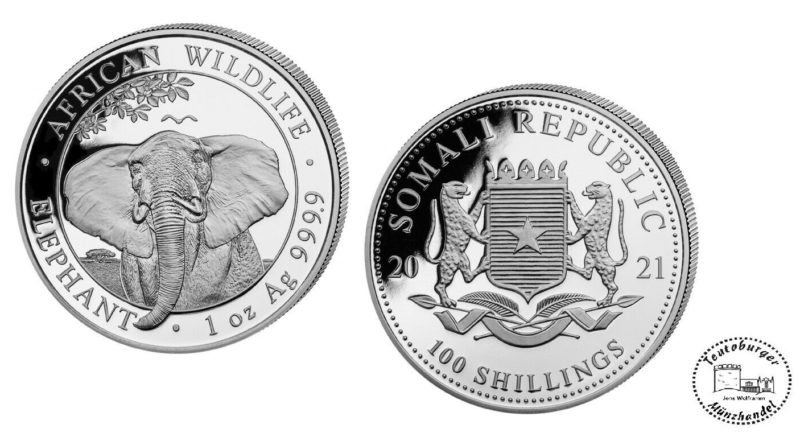 Somalia 100 Shillings African Wildlife 2021 Elephant  1 oz 999 Silber *unz*