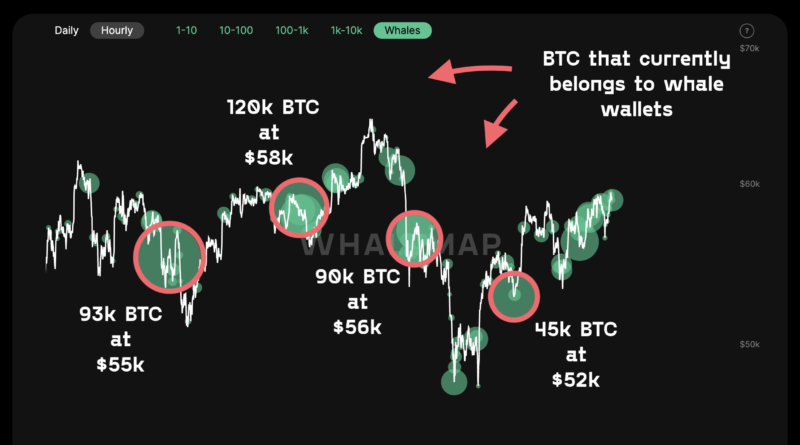 “Bullenlauf von BTC ist noch nicht vorbei”: 52.000 US-Dollar offenbar Untergrenze