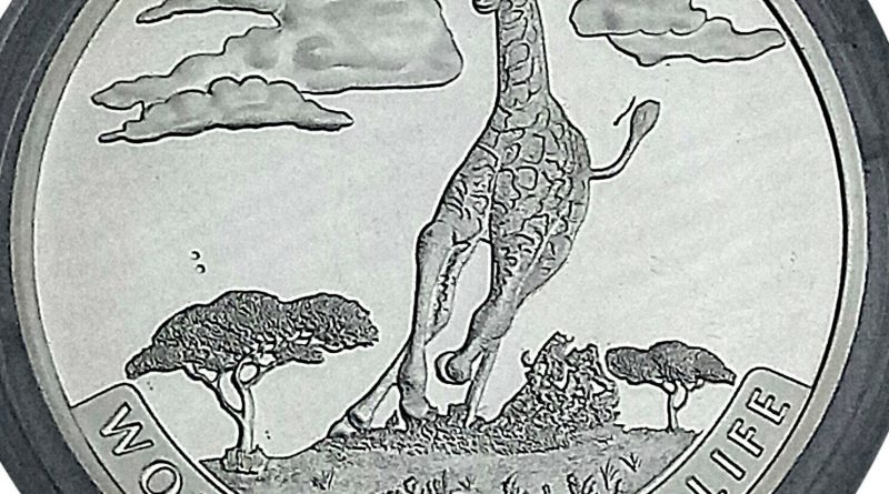 1 Oz Silber Kongo Worlds Wildlife 2019 Giraffe 20 Francs Silbermünze ST