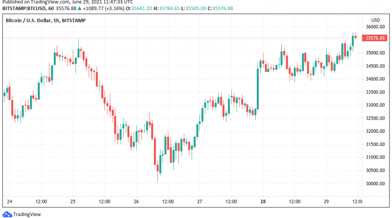 Bitcoin-Kurs über 36.000 US-Dollar: Altcoins verzeichnen zweistellige Zuwächse