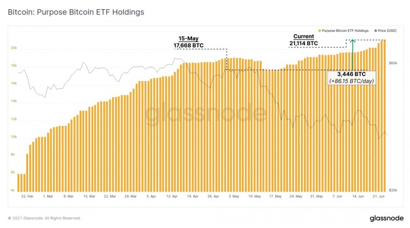 Bitcoin-ETF von Purpose nutzt Abschwung als Kaufgelegenheit