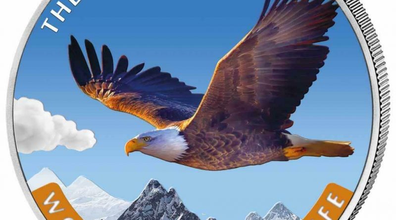 Kongo – 20 Francs 2021 – Weißkopfseeadler (3.) – in Farbe – 1 Oz Silber ST