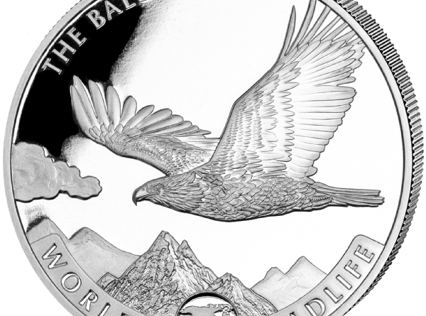 Kongo Weißkopseeadler 2021 1 OZ Unze Silber Silver Argent Congo Bald Eagle