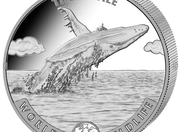 Kongo Wal 2020 1 OZ Unze Silber Argent Congo Whale Baleine World´s Wild Life