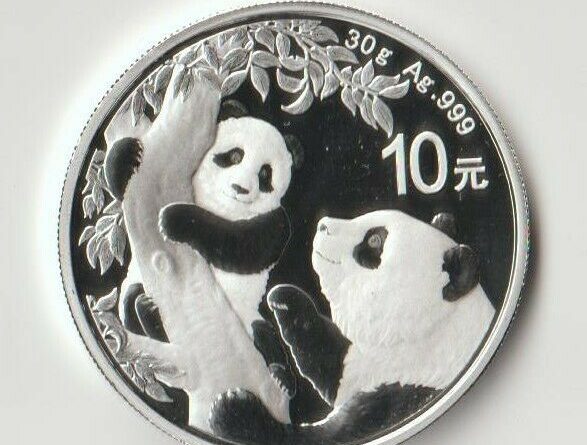 China Panda 2021 Silber 1 Unze Bankfrisch # 2