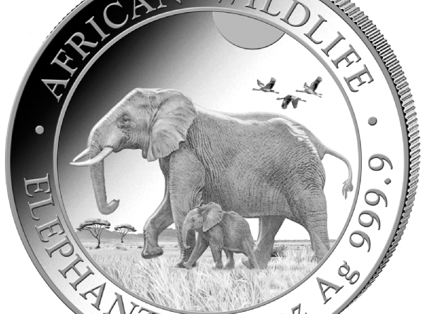 Somalia Elefant 2022 African Wildlife Elephant 1 OZ Silber Silver Argent