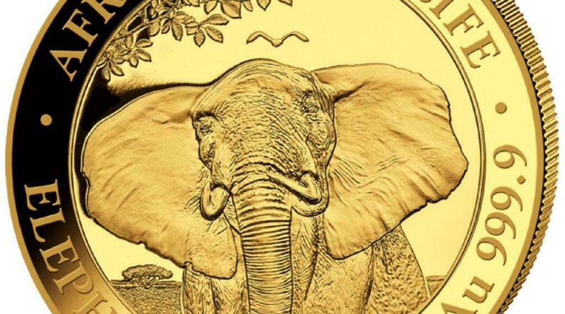 Somalia 500 SH. 2021 – Elefant – African Wildlife – Anlagemünze – 1/2 Oz Gold ST