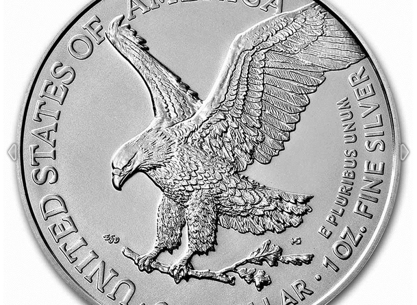 Silber Eagle 2021 Type 2 1 OZ Unze Ounce Once Silver USA US American États-Unis