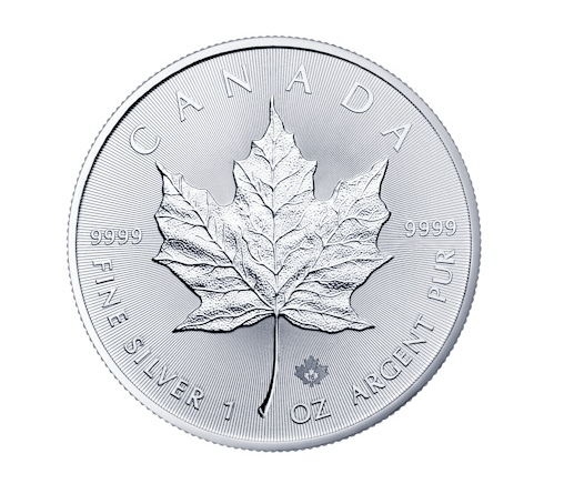 Silber Maple Leaf Tube 25x 2021 1 OZ Unze Ounce Once Silver Argent Kanada Canada