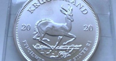 1 Silbermünze: 1 Unze (1Oz)  Krügerrand  2020, Südafrika