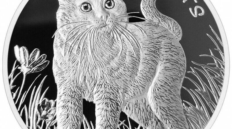 1 oz. Silber 999 Fiji Inseln **KATZEN / CATS Motiv 1** 2021 sp/PL in Münzkapsel