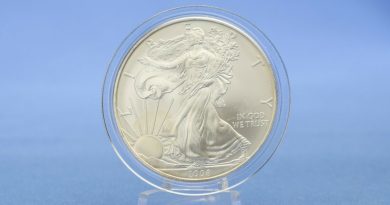 USA 1 $ Dollar American Eagle 2008 Silber 1 OZ / Unze 999 *ST / BU*