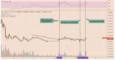 Dank Elon Musk und Coinbase kann der Shiba Inu (SHIB) um mehr als 40 % steigen