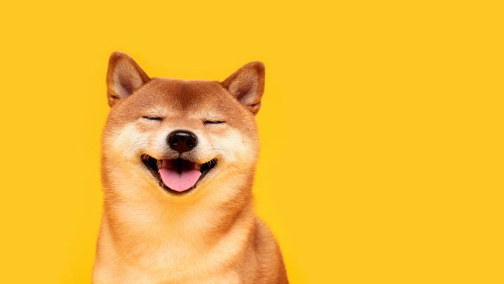 Shiba Inu (SHIB): Ein vollständiger Leitfaden für Anfänger