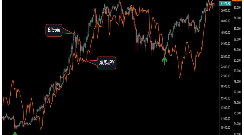 Bitcoin ist trotz der inflationsbedingten Rallye der letzten Woche immer noch ein Risiko-Asset, sagen TradFi-Experten