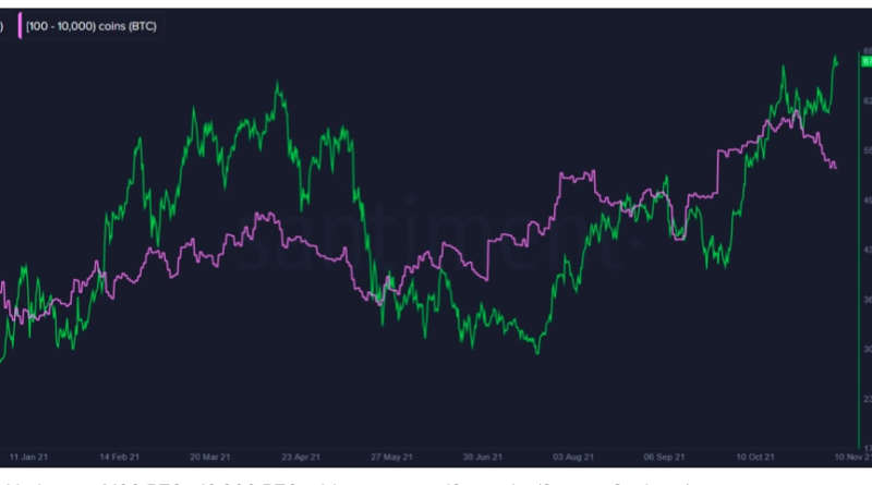 Große Bitcoin-Investoren machen eine Verschnaufpause nach dem hektischen Oktober, US-Inflationsdaten beäugt