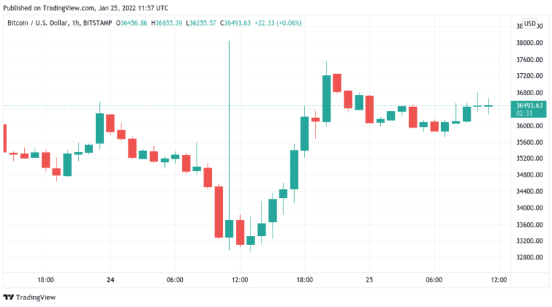 Bitcoin hält 10 Prozent Zuwachs