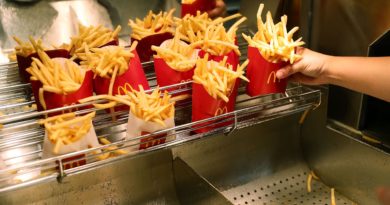 FriesDAO Wants to Start a Crypto-Crowdfunded Fast-Food Franchise