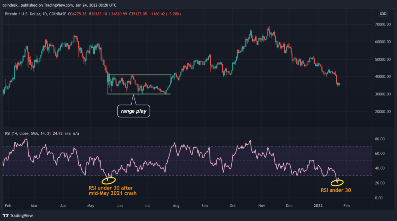 Bitcoin Whales Stay Away Even as Technical Indicator Flashes Oversold