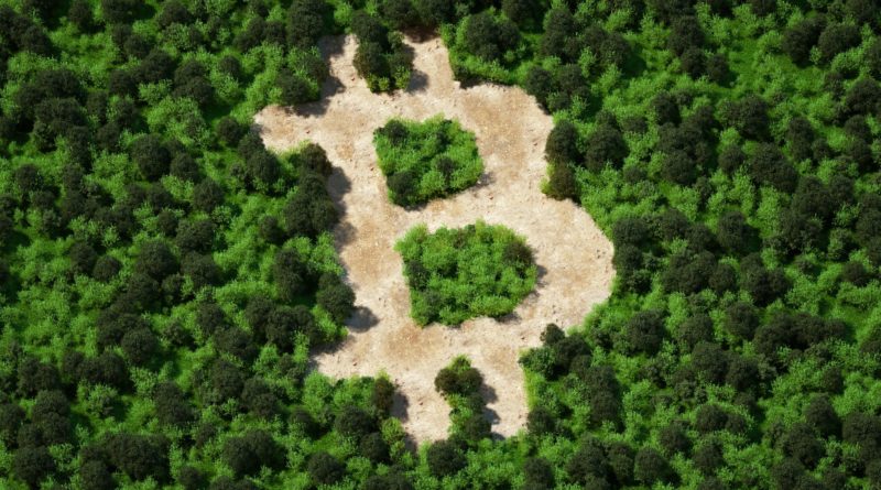 Can Crypto Go Green? How to Invest in Eco-Friendly Cryptocurrencies