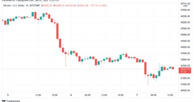 Bitcoin festigt sich bei 42.000 US-Dollar, Parallelen zum Vorjahr immer eindeutiger