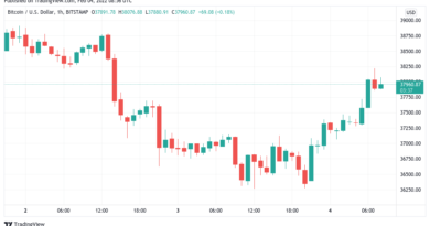 Bitcoin, Altcoins und Techaktien erholen sich langsam wieder vom Crash