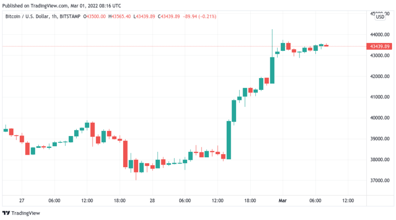 Bitcoin klettert auf über 44.000 US-Dollar: Trader und Analysten überrascht