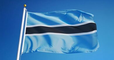 Botswana-Council-Virtual-Assets-Market-‘Poses-Limited-Risks-to-Financial.jpg