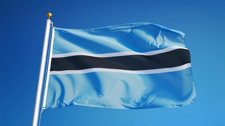 Botswana-Council-Virtual-Assets-Market-‘Poses-Limited-Risks-to-Financial.jpg