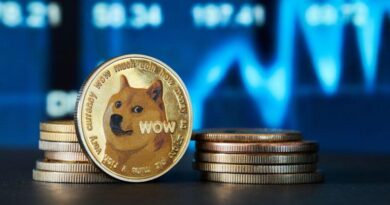 Bitwise-Seeks-SEC-Approval-for-Dogecoin-ETF—Will-Meme-Coins-Go.jpg