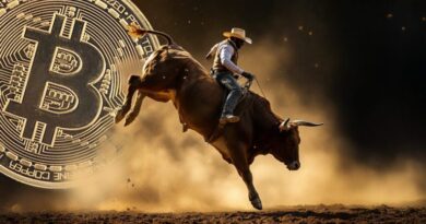 Is-the-Bitcoin-Bull-Market-Over-Analysts-Weigh-In.jpg