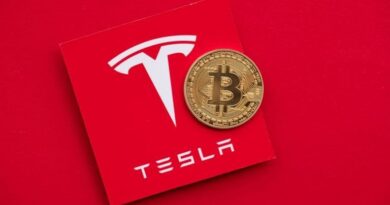 Tesla-Sees-600-Million-Boost-in-Bitcoin-Holdings-Under-New.jpg