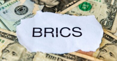 BRICS Payment Systems Are Coming—Brazil’s 2025 Plan Could Change Everything BRICS-Payment-Systems-Are-Coming—Brazils-2025-Plan-Could-Change-Everything.jpg