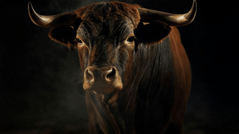 Bitcoin Price Analysis: Bulls Struggle as K Support Faces Ultimate Test