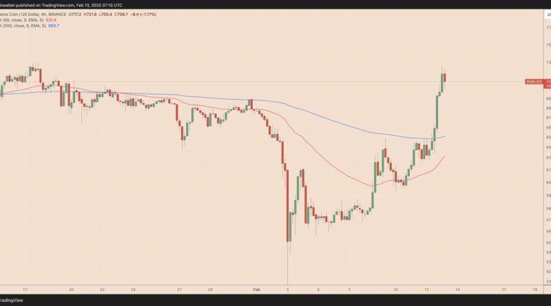 Why is BNB Price Up Today? Analyzing the Bullish Factors & Spotlight on Thriving BNB Chain Projects – CryptoNinjas