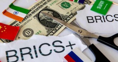 BRICS-Accelerates-Currency-Shift-With-New-Trade-Tools-and-Payment.jpg