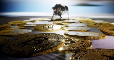 Bitcoin-Continues-Six-Figure-Rally-While-Stocks-Stumble.jpg