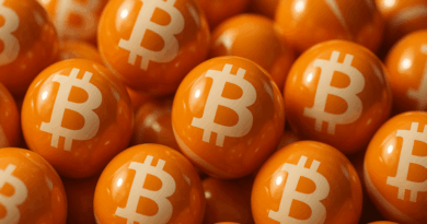Bitcoin-Price-Watch-Can-Bitcoin-Sustain-This-Rally-or-Is.png