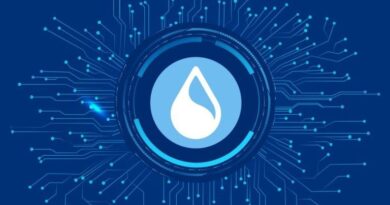 Cetus-Protocols-223-Million-Hack-Puts-Suis-Decentralization-in-the.jpg