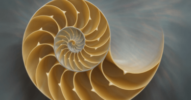 Fibonacci-Retracement-A-Traders-Compass-in-the-Bitcoin-Market.png