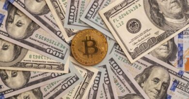 Former-IMF-Chief-Economist-Bitcoin-Undermines-Dollar-Hegemony-in-25.jpg